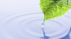 Параметры ЭКОПАКЕТА